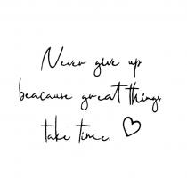 NEVER GIVE UP BECAUSE GREAT THINGS TAKE TIME