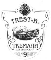 TREST B ТРЕСТЪ В ТКЕМАЛИ Б ДЕРЕВЕНСКИЙ СОУСЪ № 9 ГРУЗИНСКИЙ