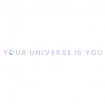 YOUR UNIVERSE IS YOU