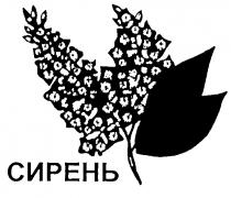 СИРЕНЬ