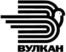 В ВУЛКАН B