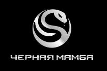 ЧЕРНАЯ МАМБА