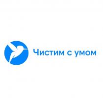 ЧИСТИМ С УМОМ