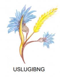 USLUGIBNG