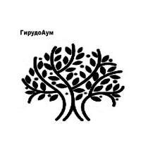 ГИРУДОАУМ
