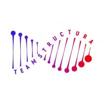 TEAMSTRUCTURA