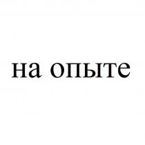 НА ОПЫТЕ