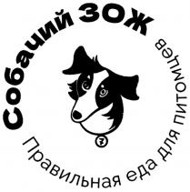 СОБАЧИЙ ЗОЖ ПРАВИЛЬНАЯ ЕДА ДЛЯ ПИТОМЦЕВ