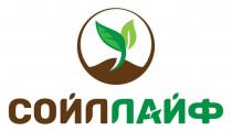 СОЙЛЛАЙФ