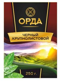ОРДА ЧЕРНЫЙ КРУПНОЛИСТОВОЙ