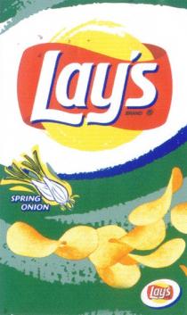 LAYS LAY SPRING ONION