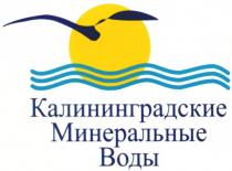 КАЛИНИНГРАДСКИЕ МИНЕРАЛЬНЫЕ ВОДЫ