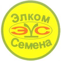 ЭЛКОМ СЕМЕНА ЭКС ЭС CEMEHA