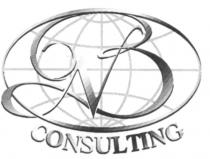 CONSULTING NB