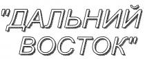 ДАЛЬНИЙ ВОСТОК BOCTOK