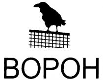 ВОРОН BOPOH