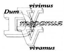 DVV DUM VIVIMUS VIVAMUS ТЕРАПИЯ