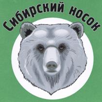 СИБИРСКИЙ НОСОК HOCOK