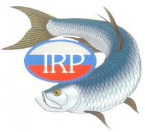 IRP