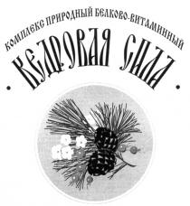 КОМПЛЕКС ПРИРОДНЫЙ БЕЛКОВО ВИТАМИННЫЙ КЕДРОВАЯ СИЛА