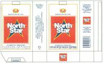 NORTH STAR MENTHOL AMERICAN BLEND КУРЕНИЕ ВРЕДИТ ВАШЕМУ ЗДОРОВЬЮ 20 СИГАРЕТ С ФИЛЬТРОМ C