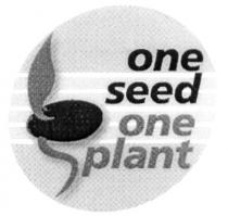 ONE SEED PLANT