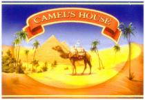 CAMELS HOUSE CAMEL