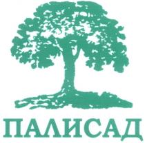 ПАЛИСАД