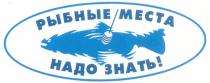 РЫБНЫЕ МЕСТА НАДО ЗНАТЬ