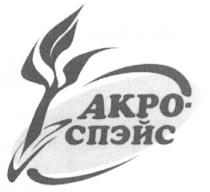 АКРО СПЭЙС