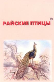 РАЙСКИЕ ПТИЦЫ