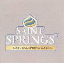 SAINT SPRINGS NATURAL SPRING WATER