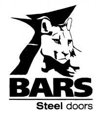 BARS STEEL DOORS