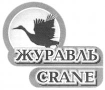 ЖУРАВЛЬ CRANE