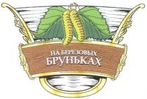 БРУНЬКАХ НА БЕРЕЗОВЫХ БРУНЬКАХ