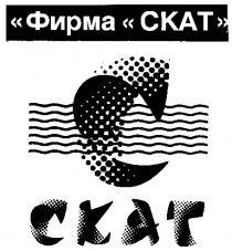 СКАТ CKAT ФИРМА C С