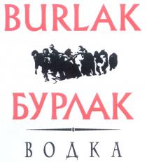 BURLAK БУРЛАК ВОДКА