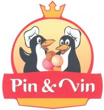 PINGVIN PINVIN PIN VIN