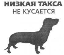 НИЗКАЯ ТАКСА НЕ КУСАЕТСЯ