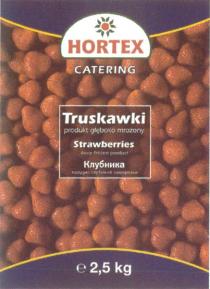 HORTEX HORTEX CATERING TRUSKAWKI STRAWBERRIES КЛУБНИКА