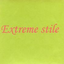 EXTREME STILE