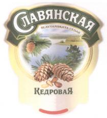 СЛАВЯНСКАЯ СЛАВЯНСКАЯ КЕДРОВАЯ SLAVYANSKAYA CEDAR