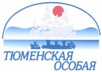 ТЮМЕНСКАЯ ОСОБАЯ