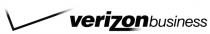 VERIZON VERIZONBUSINESS BUSINESS VERIZONBUSINESS