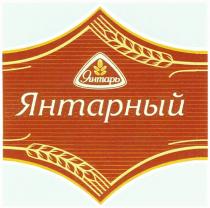 ЯНТАРЬ ЯНТАРНЫЙ