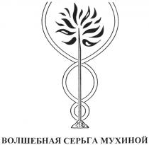 ВОЛШЕБНАЯ СЕРЬГА МУХИНОЙ