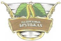 БРУНЬКАХ НА БЕРЕЗОВЫХ БРУНЬКАХ