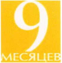 9 МЕСЯЦЕВ