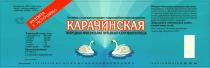 КАРАЧИНСКАЯ КАРАЧИНСКАЯ ПРИРОДНАЯ МИНЕРАЛЬНАЯ ПИТЬЕВАЯ ГАЗИРОВАННАЯ ВОДА ЛЕЧЕБНО-СТОЛОВАЯ ХЛОРИДНО-ГИДРОКАРБОНАТНАЯ НАТРИЕВАЯ