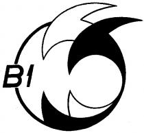 B1 В1